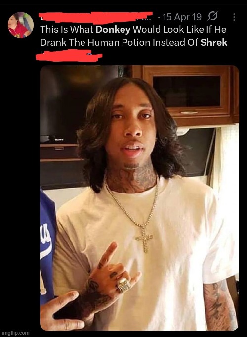 image tagged in shrek,donkey,human,potion | made w/ Imgflip meme maker