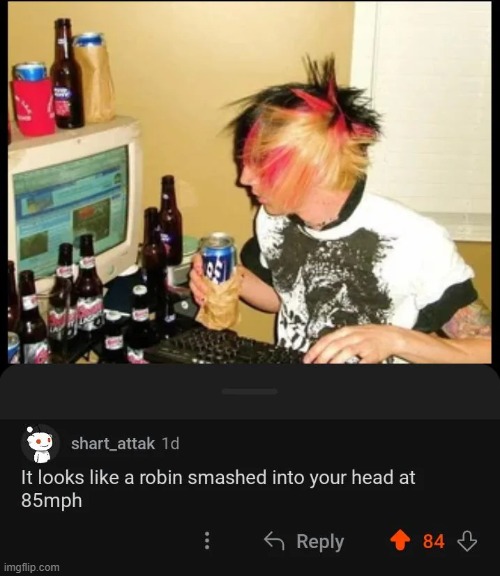 image tagged in hair,robin,head,smashed | made w/ Imgflip meme maker