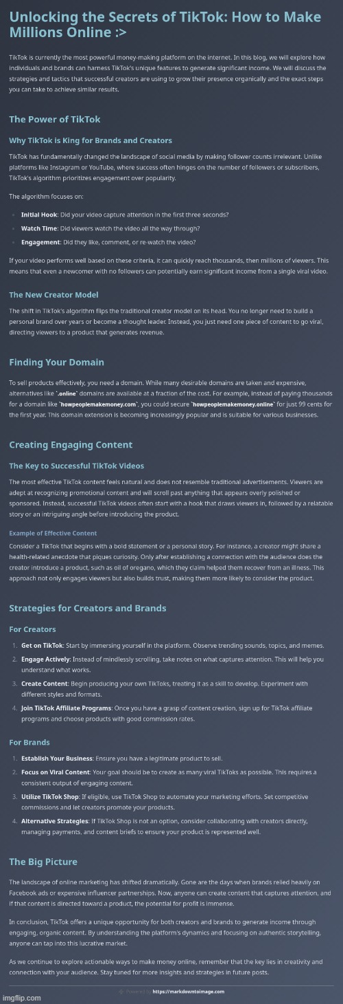 How To Make Millions With TikTok :> | image tagged in simothefinlandized,tiktok,business,infographics,tutorial | made w/ Imgflip meme maker
