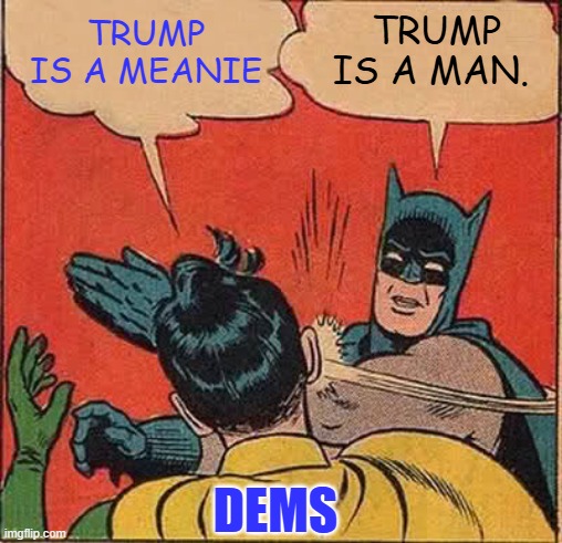 Orangeman Good, dems are adult children. Don't be like ROBIN, be BATMAN | TRUMP IS A MEANIE; TRUMP IS A MAN. DEMS | image tagged in memes,batman slapping robin | made w/ Imgflip meme maker