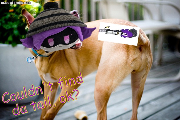 Dog chasing tail | Couldn't find da tail, ok? | image tagged in dog chasing tail | made w/ Imgflip meme maker