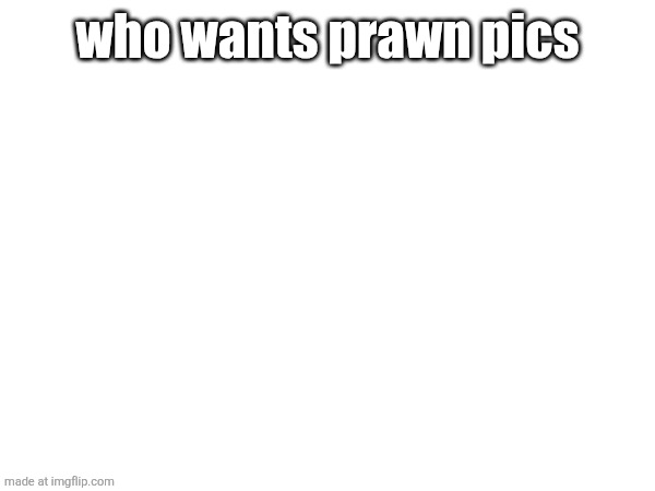 who wants prawn pics | made w/ Imgflip meme maker