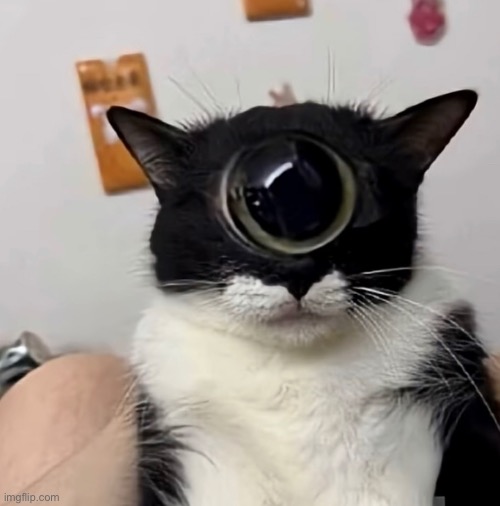 me when fraud | made w/ Imgflip meme maker