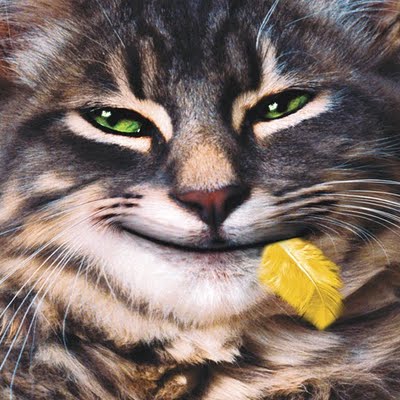 Finally Got It Blank Meme Template