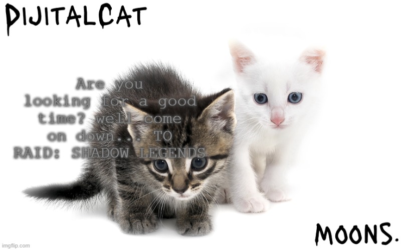 moons and dijitalcat kitty temp | Are you looking for a good time? well come on down... TO RAID: SHADOW LEGENDS | image tagged in moons and dijitalcat kitty temp | made w/ Imgflip meme maker