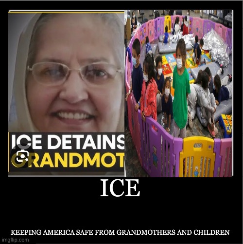 Demotivational poster | ICE; KEEPING AMERICA SAFE FROM GRANDMOTHERS AND CHILDREN | image tagged in demotivational poster | made w/ Imgflip meme maker