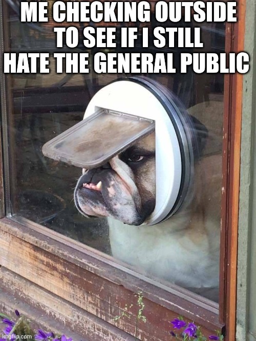 Me Checking Outside To See If I Still Hate The General Public | ME CHECKING OUTSIDE TO SEE IF I STILL HATE THE GENERAL PUBLIC | image tagged in chrisjoines1 | made w/ Imgflip meme maker