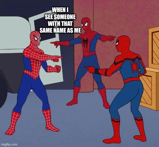 Trust it's funny | WHEN I SEE SOMEONE WITH THAT SAME NAME AS ME | image tagged in spider man triple | made w/ Imgflip meme maker