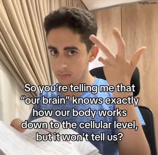 image tagged in msmg | made w/ Imgflip meme maker