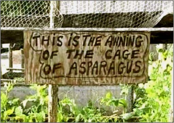 ♫ When The Moon Is In The Seventh House ...♫ | image tagged in funny signs,asparagus,aquarius | made w/ Imgflip meme maker