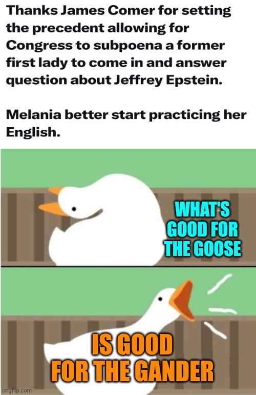 We Have Questions For Melania | WHAT'S GOOD FOR THE GOOSE; IS GOOD FOR THE GANDER | image tagged in untitled goose game honk,give and take,memes,special kind of stupid,impeach trump,lock him up | made w/ Imgflip meme maker