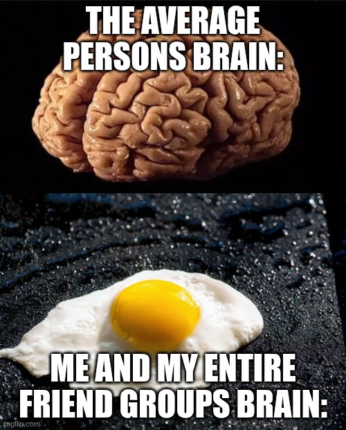 My friend groups cooked | THE AVERAGE PERSONS BRAIN:; ME AND MY ENTIRE FRIEND GROUPS BRAIN: | image tagged in this is your brain,memes,funny,friendship,homies | made w/ Imgflip meme maker
