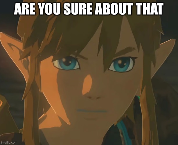 link | ARE YOU SURE ABOUT THAT | image tagged in link | made w/ Imgflip meme maker