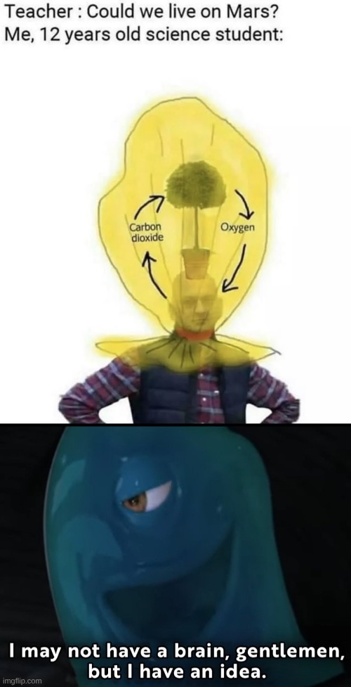 image tagged in meme | made w/ Imgflip meme maker