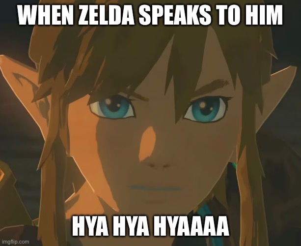 link | WHEN ZELDA SPEAKS TO HIM; HYA HYA HYAAAA | image tagged in link | made w/ Imgflip meme maker