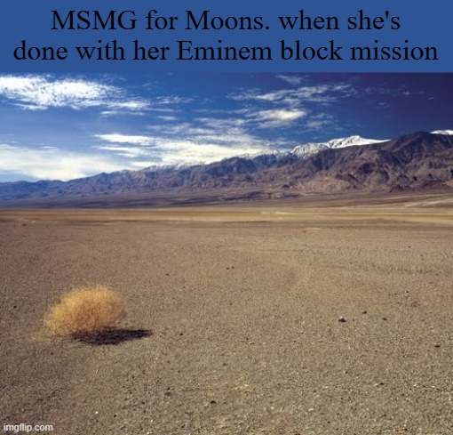 desert tumbleweed | MSMG for Moons. when she's done with her Eminem block mission | image tagged in desert tumbleweed | made w/ Imgflip meme maker