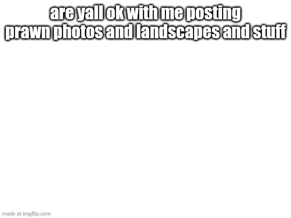 are yall ok with me posting prawn photos and landscapes and stuff | made w/ Imgflip meme maker