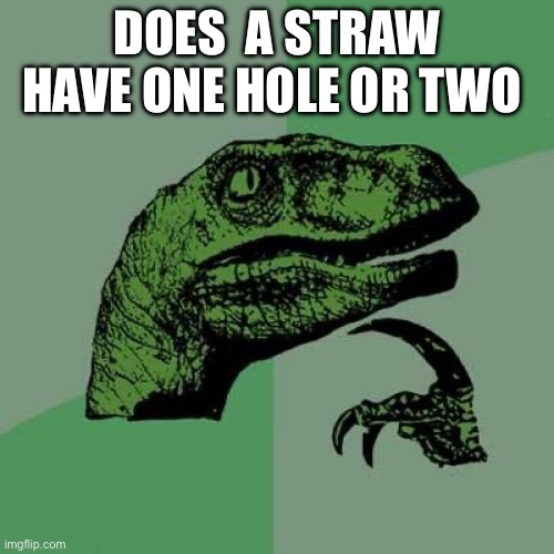 PLEASE TELL ME | DOES  A STRAW HAVE ONE HOLE OR TWO | image tagged in memes,philosoraptor | made w/ Imgflip meme maker