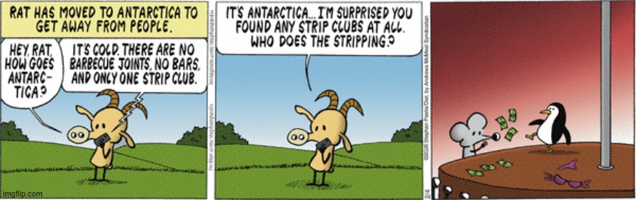 Pearls Before Swine | image tagged in comics | made w/ Imgflip meme maker
