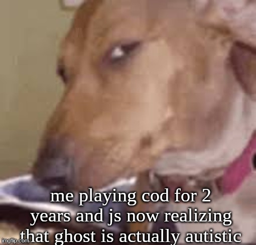 really bruh | me playing cod for 2 years and js now realizing that ghost is actually autistic | image tagged in really bruh | made w/ Imgflip meme maker