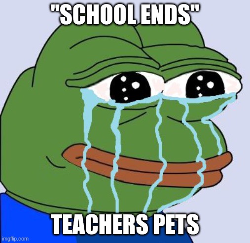 crying frog | "SCHOOL ENDS"; TEACHERS PETS | image tagged in crying frog | made w/ Imgflip meme maker
