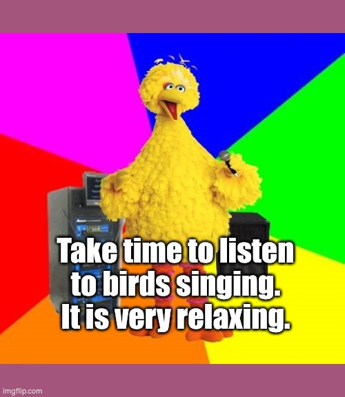 Take time to listen to birds singing. It is very relaxing. | Take time to listen to birds singing. It is very relaxing. | image tagged in karaoke birdie no wm fix,jo farmer,autism,nature,relaxing,bird | made w/ Imgflip meme maker