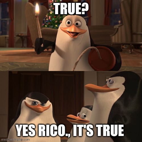 Madagascar Penguin Kaboom | TRUE? YES RICO., IT'S TRUE | image tagged in madagascar penguin kaboom | made w/ Imgflip meme maker