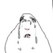 Sad white hamster Blank Meme Template