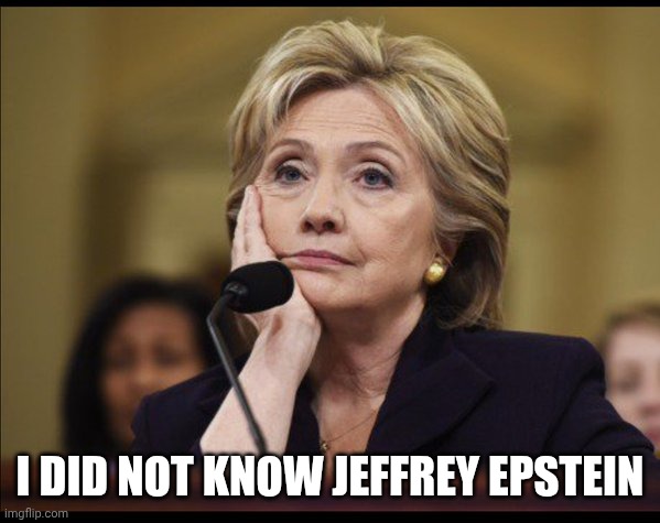Bored Hillary | I DID NOT KNOW JEFFREY EPSTEIN | image tagged in bored hillary | made w/ Imgflip meme maker