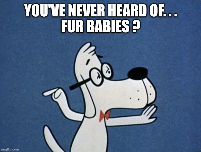 Mr Peabody | YOU'VE NEVER HEARD OF. . .
FUR BABIES ? | image tagged in mr peabody | made w/ Imgflip meme maker