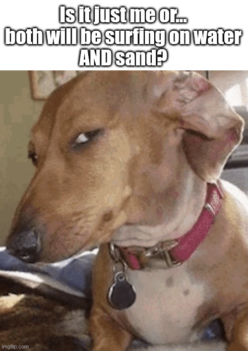 Is it just me or...
both will be surfing on water
AND sand? | image tagged in side eye dog | made w/ Imgflip meme maker