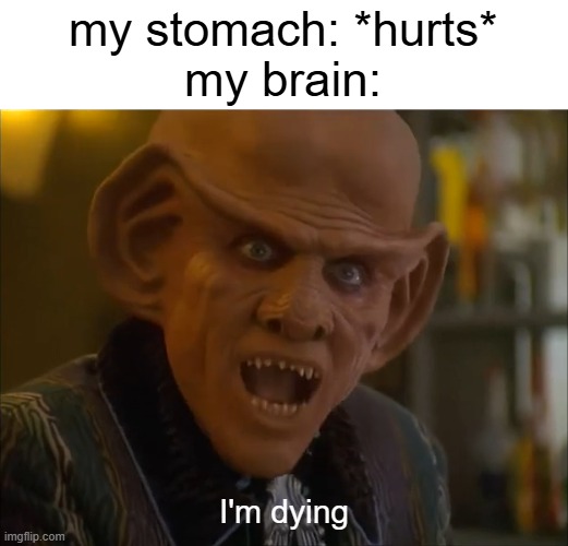 I'm dying | my stomach: *hurts*
my brain:; I'm dying | image tagged in quark,star trek | made w/ Imgflip meme maker
