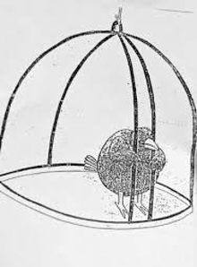 Bird in cage Blank Meme Template