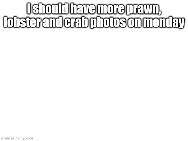 I should have more prawn, lobster and crab photos on monday | made w/ Imgflip meme maker