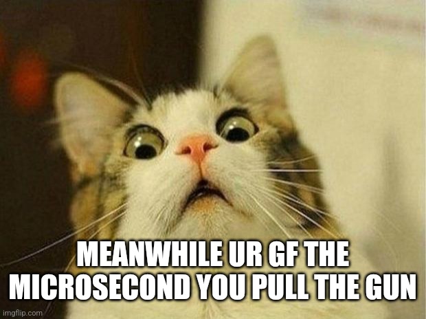 Scared Cat Meme | MEANWHILE UR GF THE MICROSECOND YOU PULL THE GUN | image tagged in memes,scared cat | made w/ Imgflip meme maker