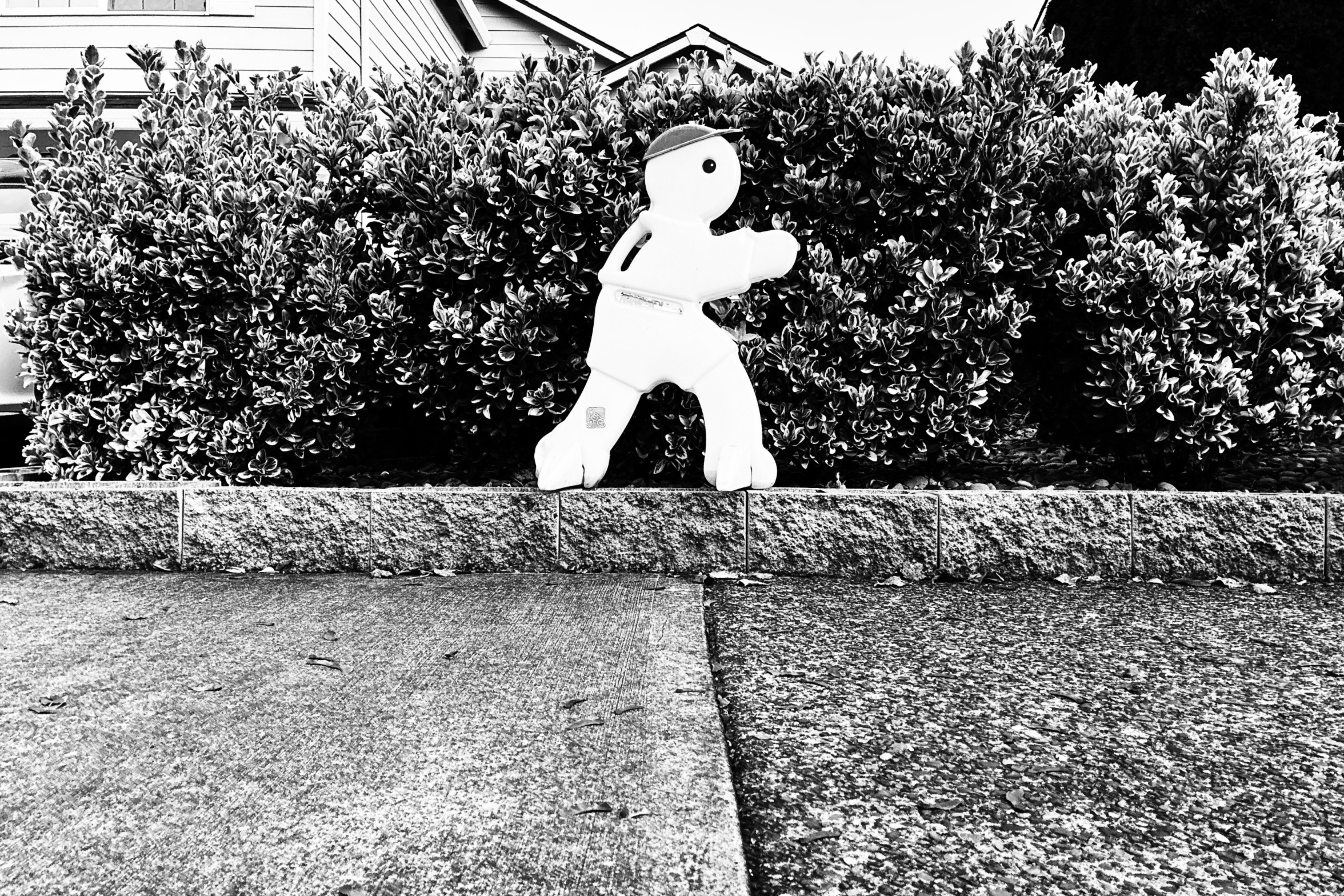 Walk Away Mirror Image Mode Blank Meme Template