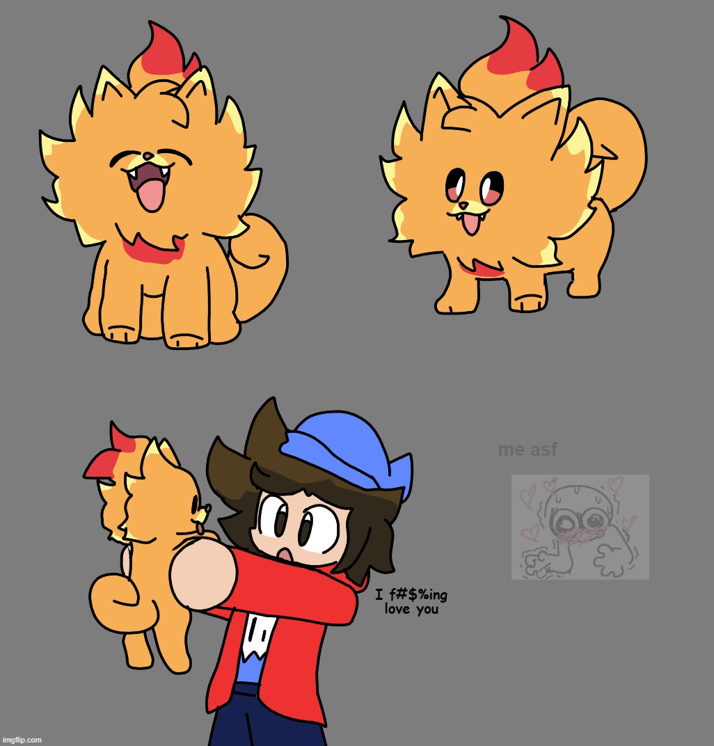 FIRE POMERANIAN!!!! | image tagged in aaaaaaaaaaaaaaaaaaaa | made w/ Imgflip meme maker