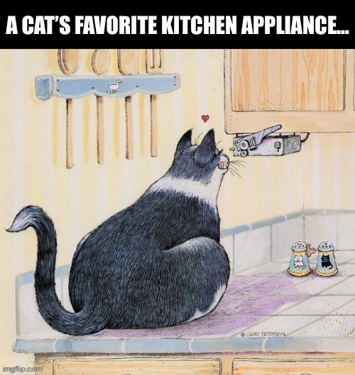 The sound of an electric can opener can bring them out of even the deepest sleep… | A CAT’S FAVORITE KITCHEN APPLIANCE… | image tagged in cats,cartoon,tuxedo cat,gary patterson,can opener,favorite | made w/ Imgflip meme maker