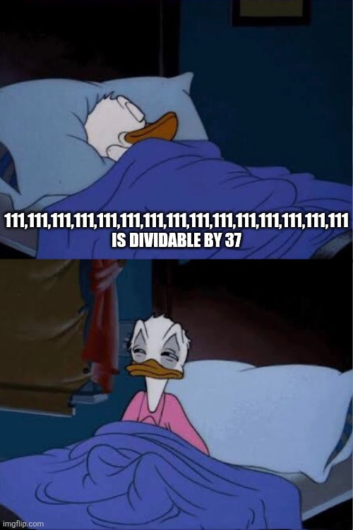 donald duck waking up | 111,111,111,111,111,111,111,111,111,111,111,111,111,111,111 IS DIVIDABLE BY 37 | image tagged in donald duck waking up | made w/ Imgflip meme maker