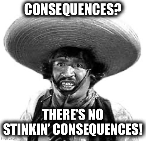 Badges we dont need no stinking badges | CONSEQUENCES? THERE’S NO STINKIN’ CONSEQUENCES! | image tagged in badges we dont need no stinking badges | made w/ Imgflip meme maker