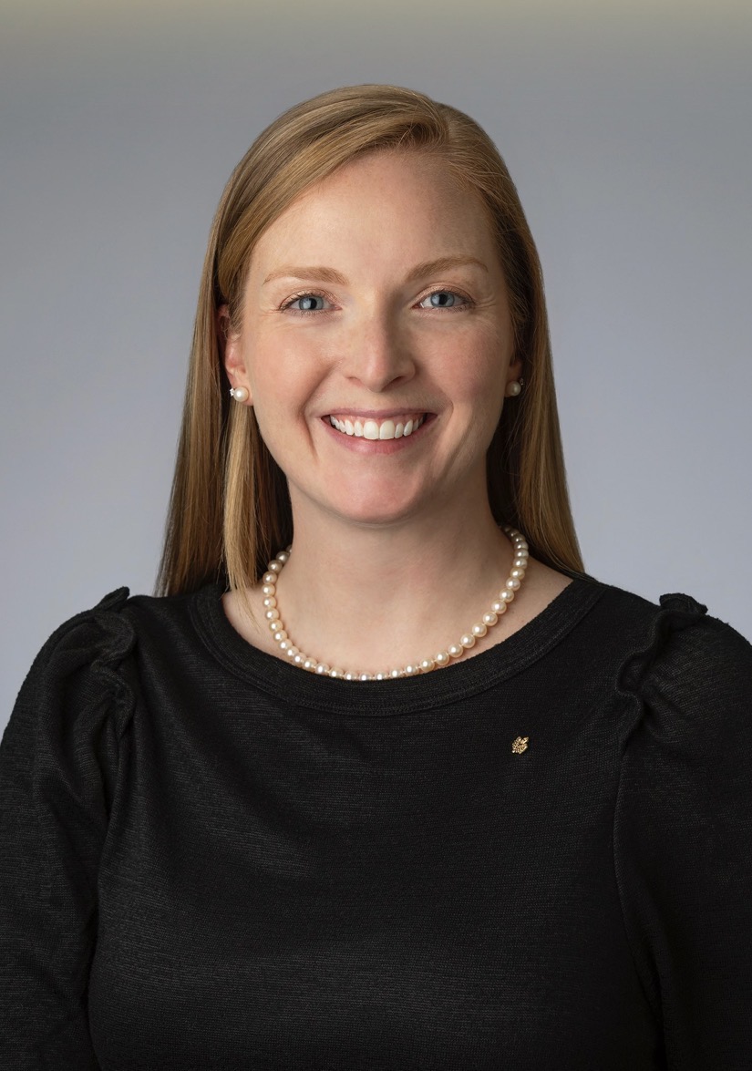 Big Flats Town Board Blank Meme Template