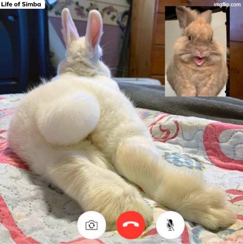 Us | made w/ Imgflip meme maker