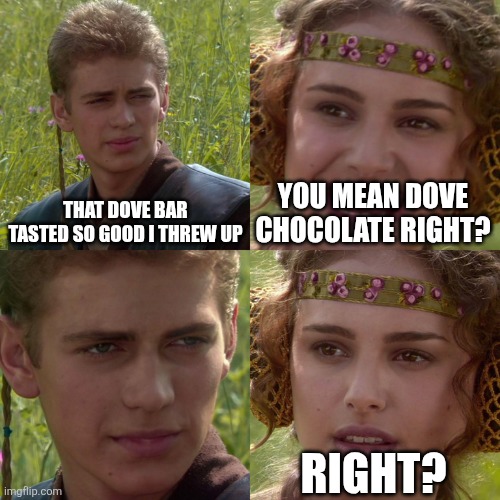 Look at the comments | THAT DOVE BAR TASTED SO GOOD I THREW UP; YOU MEAN DOVE CHOCOLATE RIGHT? RIGHT? | image tagged in anakin padme 4 panel,star wars,anakin skywalker,chocolate,soap,lol so funny | made w/ Imgflip meme maker