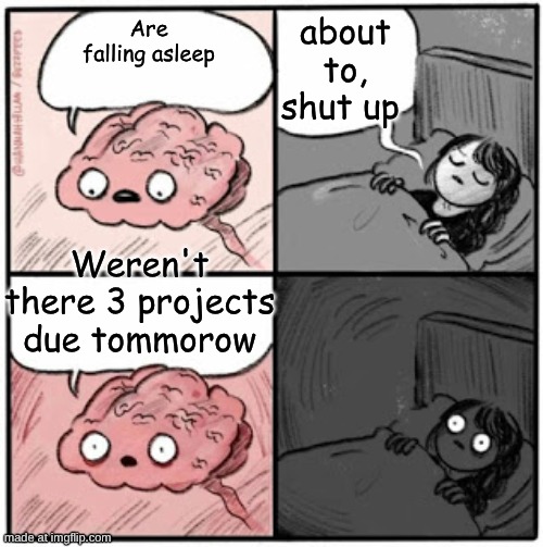 nighttime thoughts | about to, shut up; Are falling asleep; Weren't there 3 projects due tommorow | image tagged in brain before sleep | made w/ Imgflip meme maker