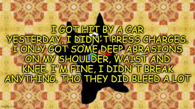 cae cat | I GOT HIT BY A CAR YESTERDAY, I DIDN'T PRESS CHARGES. I ONLY GOT SOME DEEP ABRASIONS ON MY SHOULDER, WAIST AND KNEE. I'M FINE, I DIDN'T BREAK ANYTHING. THO THEY DID BLEED A LOT | image tagged in cae cat | made w/ Imgflip meme maker