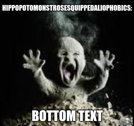 Ash Baby | HIPPOPOTOMONSTROSESQUIPPEDALIOPHOBICS: BOTTOM TEXT | image tagged in ash baby | made w/ Imgflip meme maker