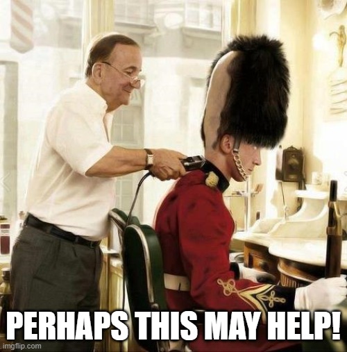 PERHAPS THIS MAY HELP! | made w/ Imgflip meme maker