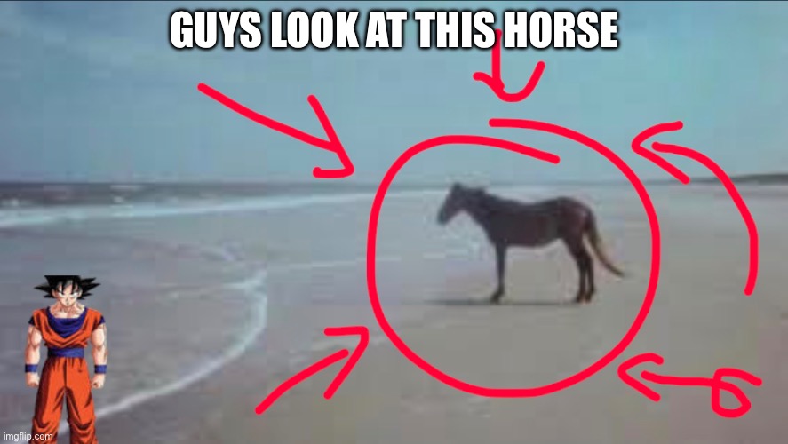 Honse | GUYS LOOK AT THIS HORSE | image tagged in horse,goku,beach,funni,funny,funny meme | made w/ Imgflip meme maker