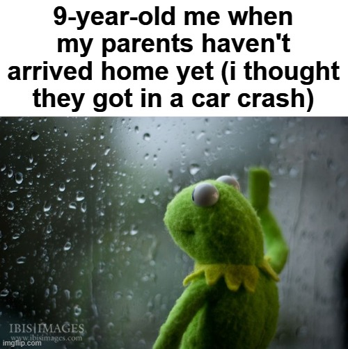 "Where are they?" | 9-year-old me when my parents haven't arrived home yet (i thought they got in a car crash) | image tagged in kermit window,memes,is ts relatable | made w/ Imgflip meme maker
