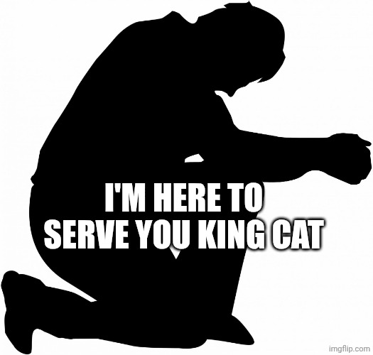 Kneeling | I'M HERE TO SERVE YOU KING CAT | image tagged in kneeling | made w/ Imgflip meme maker